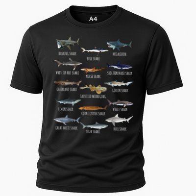 Shark Species Biology Different Types Of Sharks Performance Shirt