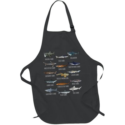 Shark Species Biology Different Types Of Sharks Apron