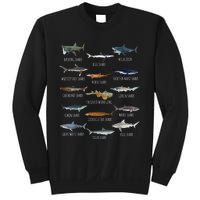 Shark Species Biology Different Types Of Sharks Sweatshirt