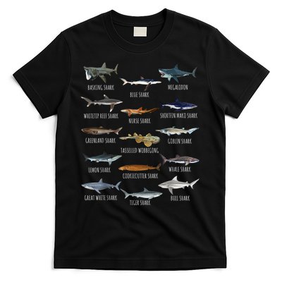 Shark Species Biology Different Types Of Sharks T-Shirt