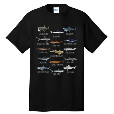 Shark Species Biology Different Types Of Sharks Tall T-Shirt