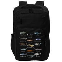 Shark Species Biology Different Types Of Sharks Impact Tech Backpack