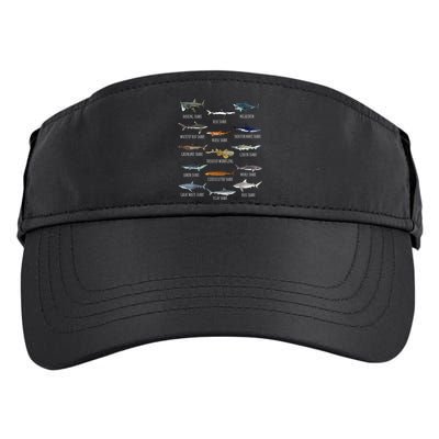Shark Species Biology Different Types Of Sharks Adult Drive Performance Visor