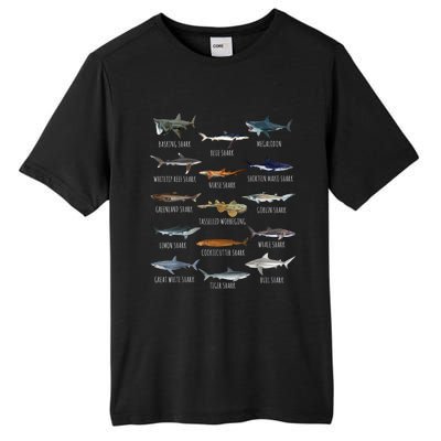 Shark Species Biology Different Types Of Sharks Tall Fusion ChromaSoft Performance T-Shirt