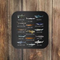 Shark Species Biology Different Types Of Sharks Coaster