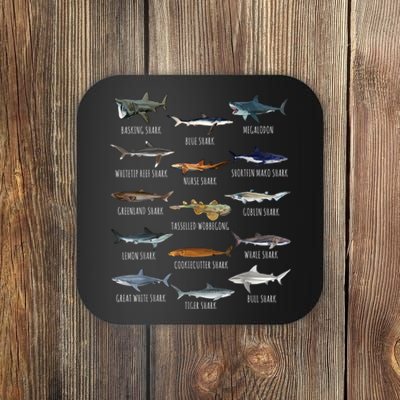 Shark Species Biology Different Types Of Sharks Coaster