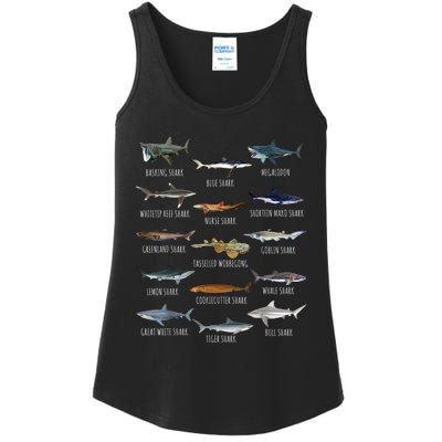 Shark Species Biology Different Types Of Sharks Ladies Essential Tank