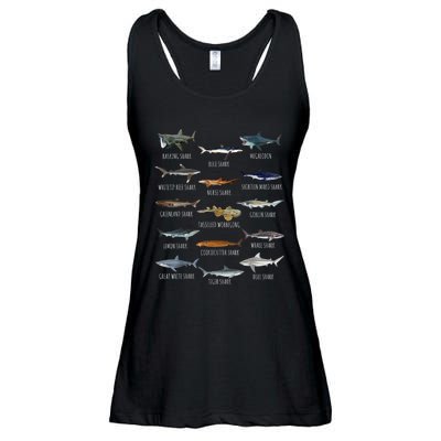 Shark Species Biology Different Types Of Sharks Ladies Essential Flowy Tank