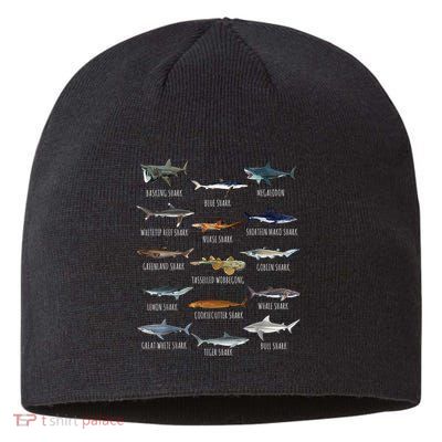 Shark Species Biology Different Types Of Sharks Sustainable Beanie