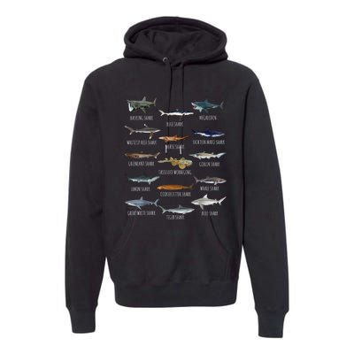 Shark Species Biology Different Types Of Sharks Premium Hoodie