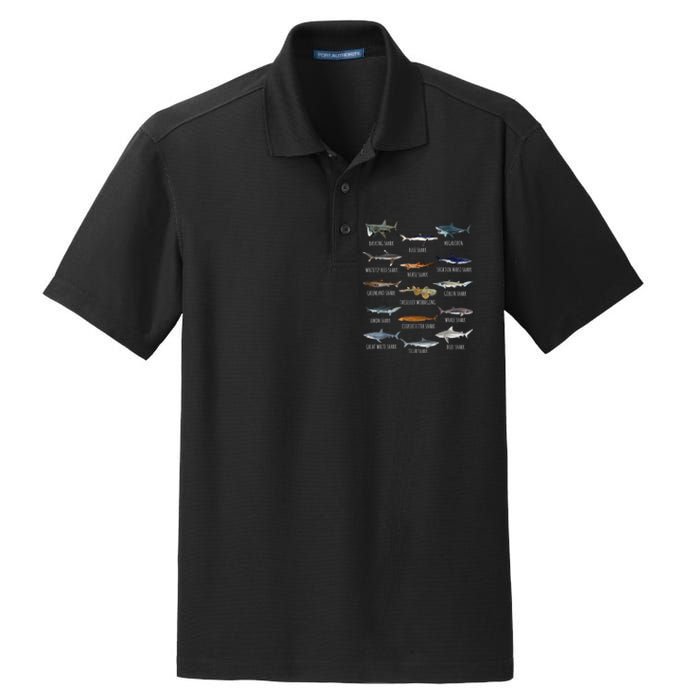 Shark Species Biology Different Types Of Sharks Dry Zone Grid Polo