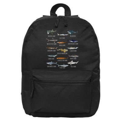 Shark Species Biology Different Types Of Sharks 16 in Basic Backpack