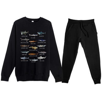 Shark Species Biology Different Types Of Sharks Premium Crewneck Sweatsuit Set