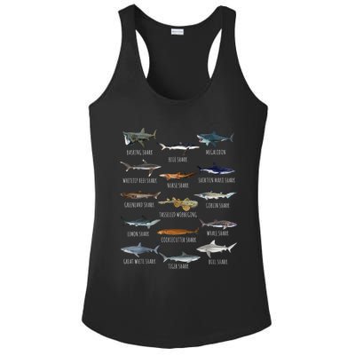 Shark Species Biology Different Types Of Sharks Ladies PosiCharge Competitor Racerback Tank