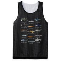 Shark Species Biology Different Types Of Sharks Mesh Reversible Basketball Jersey Tank