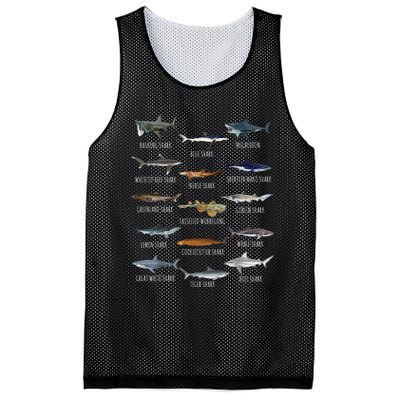 Shark Species Biology Different Types Of Sharks Mesh Reversible Basketball Jersey Tank