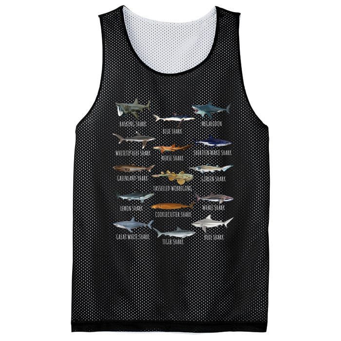 Shark Species Biology Different Types Of Sharks Mesh Reversible Basketball Jersey Tank