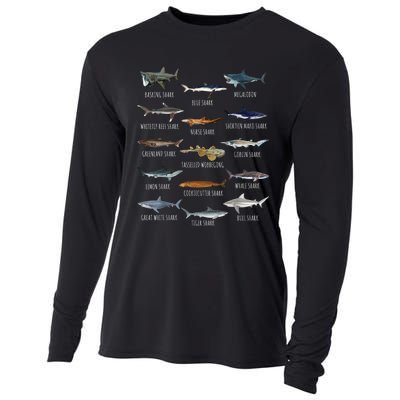 Shark Species Biology Different Types Of Sharks Cooling Performance Long Sleeve Crew