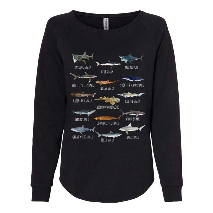 Shark Species Biology Different Types Of Sharks Womens California Wash Sweatshirt