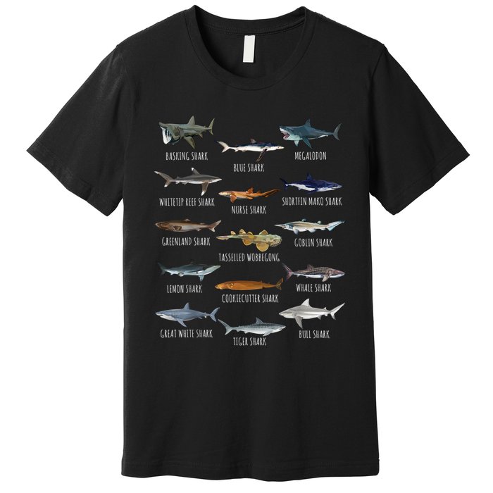 Shark Species Biology Different Types Of Sharks Premium T-Shirt