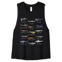 Shark Species Biology Different Types Of Sharks Women's Racerback Cropped Tank