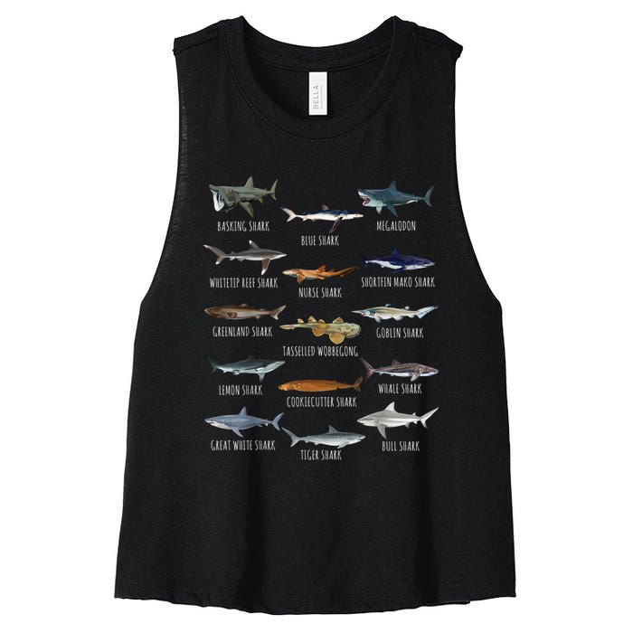 Shark Species Biology Different Types Of Sharks Women's Racerback Cropped Tank