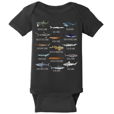 Shark Species Biology Different Types Of Sharks Baby Bodysuit