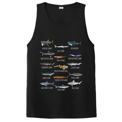 Shark Species Biology Different Types Of Sharks PosiCharge Competitor Tank