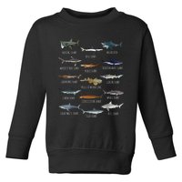 Shark Species Biology Different Types Of Sharks Toddler Sweatshirt