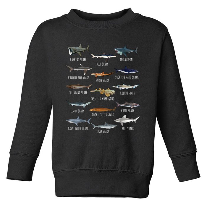 Shark Species Biology Different Types Of Sharks Toddler Sweatshirt