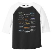 Shark Species Biology Different Types Of Sharks Toddler Fine Jersey T-Shirt