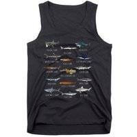 Shark Species Biology Different Types Of Sharks Tank Top