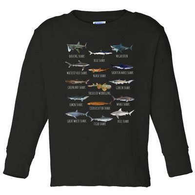 Shark Species Biology Different Types Of Sharks Toddler Long Sleeve Shirt