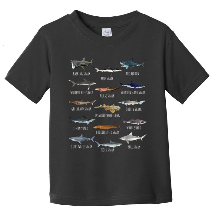 Shark Species Biology Different Types Of Sharks Toddler T-Shirt