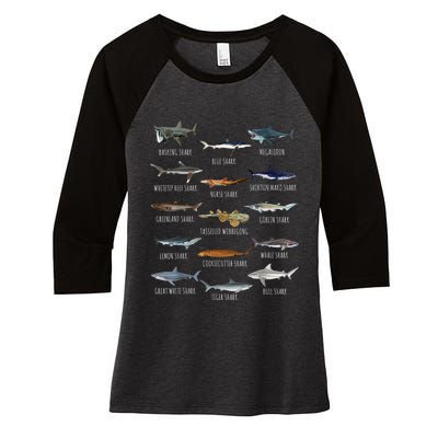 Shark Species Biology Different Types Of Sharks Women's Tri-Blend 3/4-Sleeve Raglan Shirt