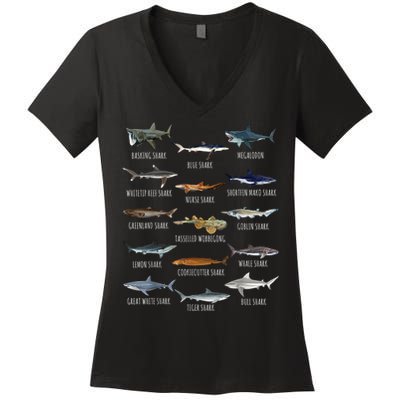 Shark Species Biology Different Types Of Sharks Women's V-Neck T-Shirt
