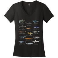 Shark Species Biology Different Types Of Sharks Women's V-Neck T-Shirt