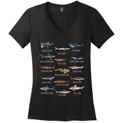 Shark Species Biology Different Types Of Sharks Women's V-Neck T-Shirt