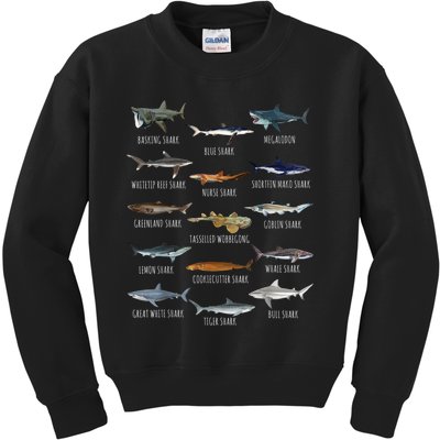 Shark Species Biology Different Types Of Sharks Kids Sweatshirt