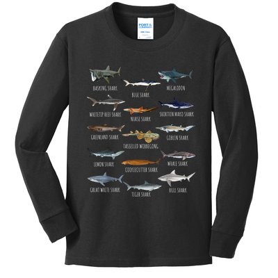 Shark Species Biology Different Types Of Sharks Kids Long Sleeve Shirt