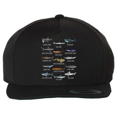 Shark Species Biology Different Types Of Sharks Wool Snapback Cap