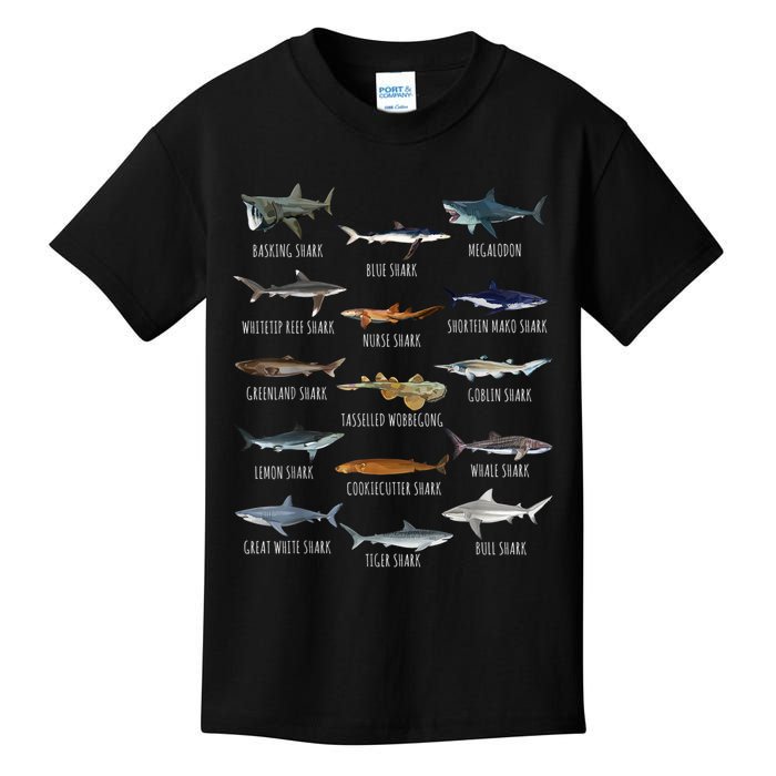 Shark Species Biology Different Types Of Sharks Kids T-Shirt