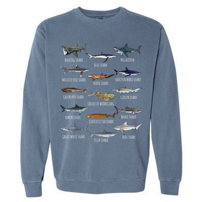 Shark Species Biology Different Types Of Sharks Garment-Dyed Sweatshirt