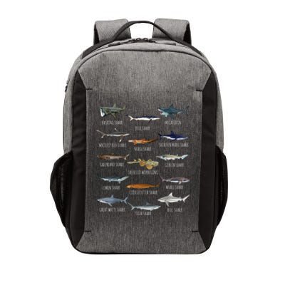 Shark Species Biology Different Types Of Sharks Vector Backpack