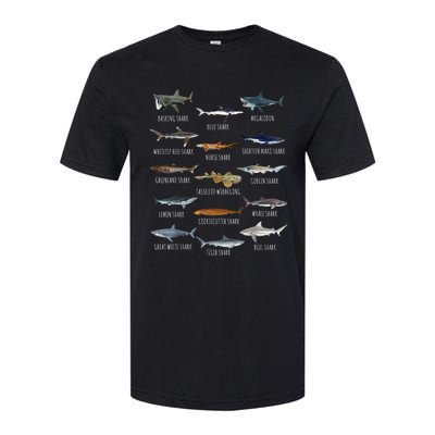 Shark Species Biology Different Types Of Sharks Softstyle CVC T-Shirt