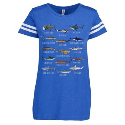 Shark Species Biology Different Types Of Sharks Enza Ladies Jersey Football T-Shirt