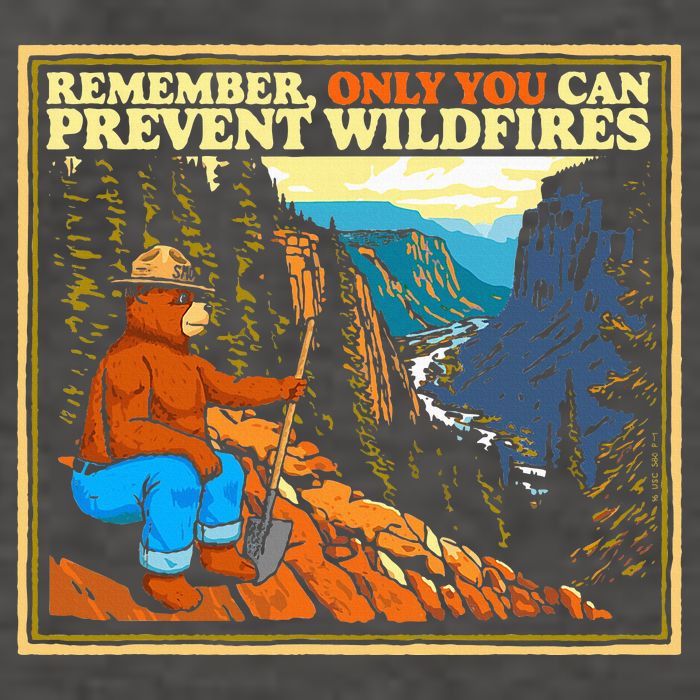 Style Smokey B.E.A.R Only You Retro Hiking Vector Backpack