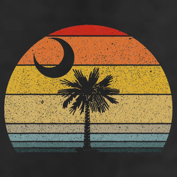 Sunset South Carolina Flag Palmetto Tree Crescent Moon Adult Drive Performance Visor