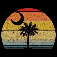 Sunset South Carolina Flag Palmetto Tree Crescent Moon Short Acrylic Beanie