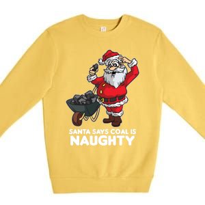 Santa Says Coal Is Naughty Fridays For Future Christmas Gift Premium Crewneck Sweatshirt